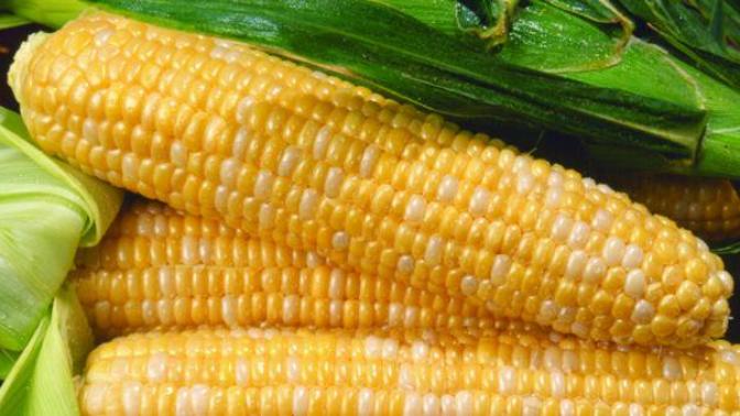 Do you like sweet corn?