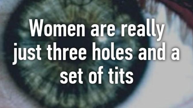 Females are nothing more than three holes and a pair of tits. How many Men actually hold a similar philosophy?