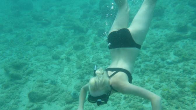 Jamaica for my birthday! anybody ever go snorkling?