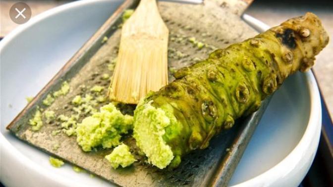Would you be interested in trying fresh wasabi?