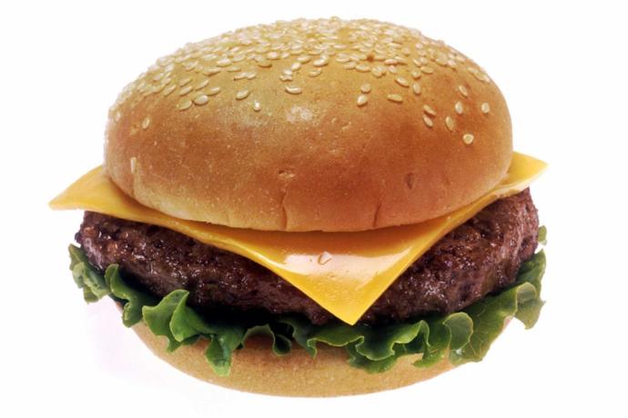 Cheeseburgers or Pizza??