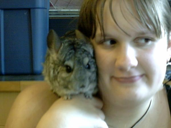 Would you risk your life to save your dog/cat/animal?