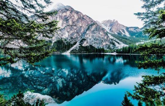 Why do humans often associate beauty with morality?