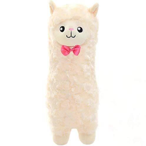 Best valentines cuddly gift?