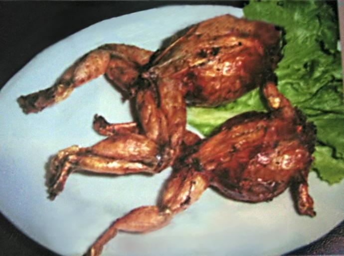 Do you like frogs?