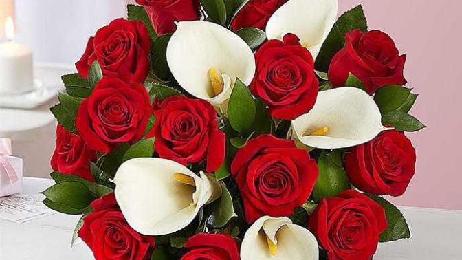 Girls: what are your favorite flowers for Valentines Day?