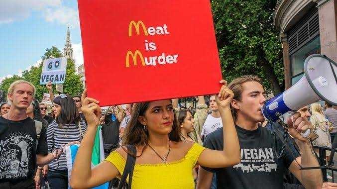 Why are vegans so annoying?