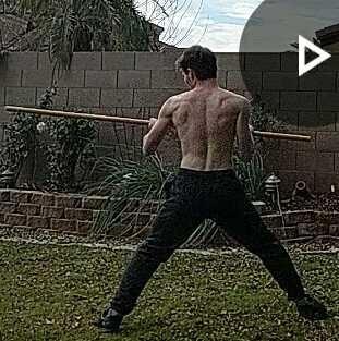 Which are sexier, ab muscles or back muscles?
