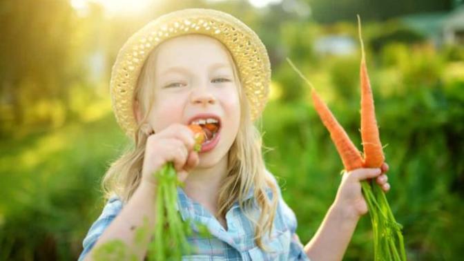 What do you think of only feeding your child organic food and no sugar?