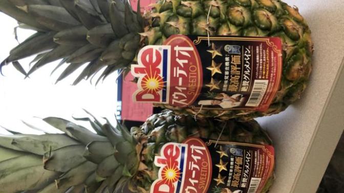 Pineapple Anybody? 🍍?