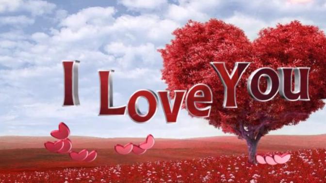 I am shocked to see that some people don't like Valentines Day! ... WHY?