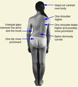 Is an uneven torso unattractive?