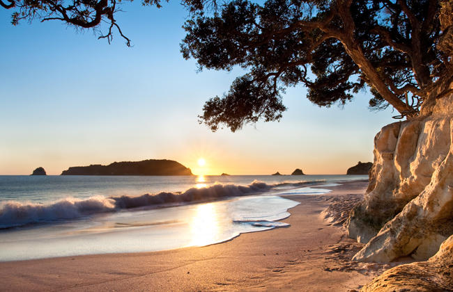 Do you like the beach?
