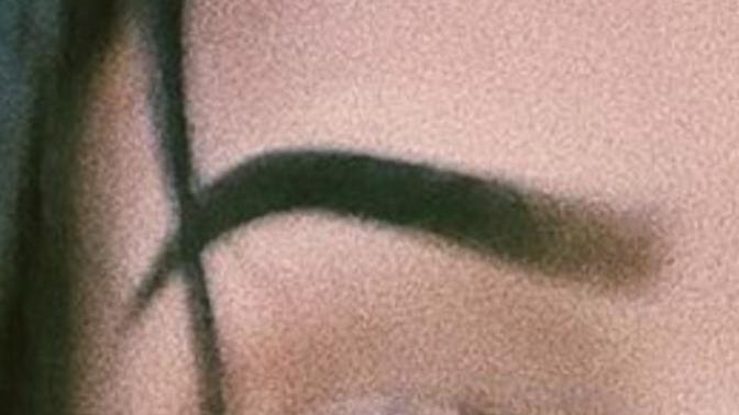 Girls, My eyebrows suck?