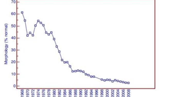 Why is male testosterone decreasing rapidly?