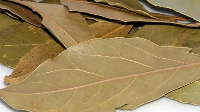Is bay leaf safe to eat?