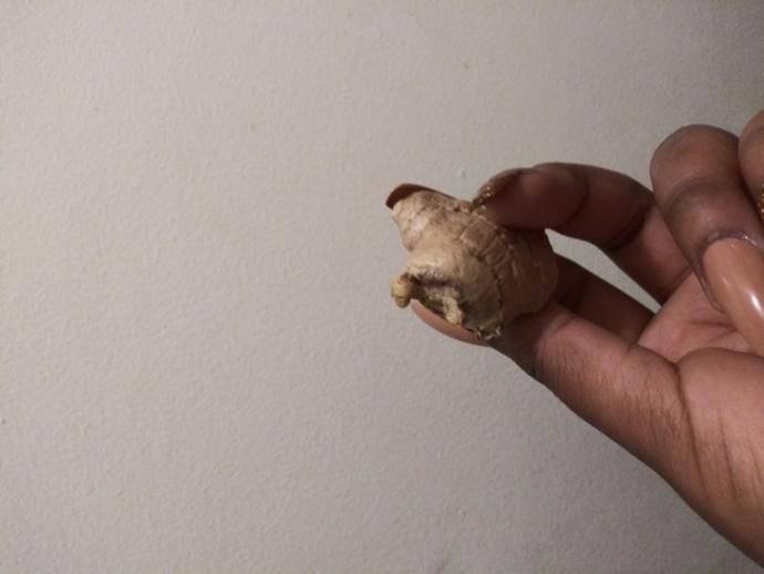 Does This Look Like A Ginger Sprout?