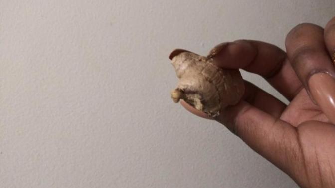 Does This Look Like A Ginger Sprout?