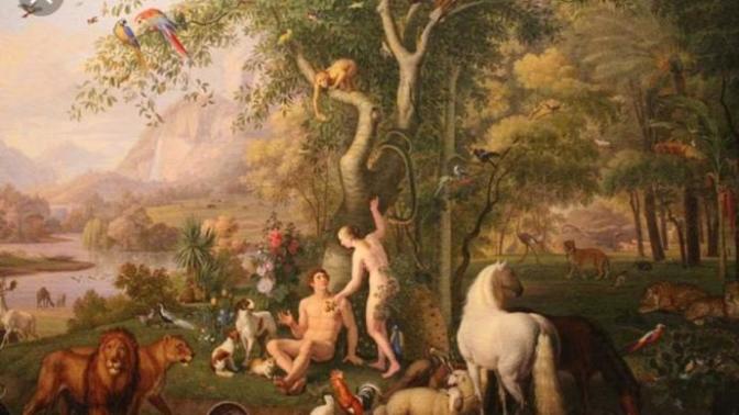 Christians. Your view on Genesis?