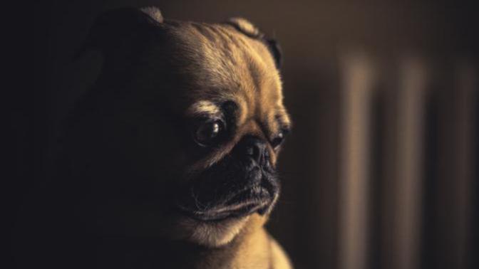 What's something stupid you were sad about in the past?