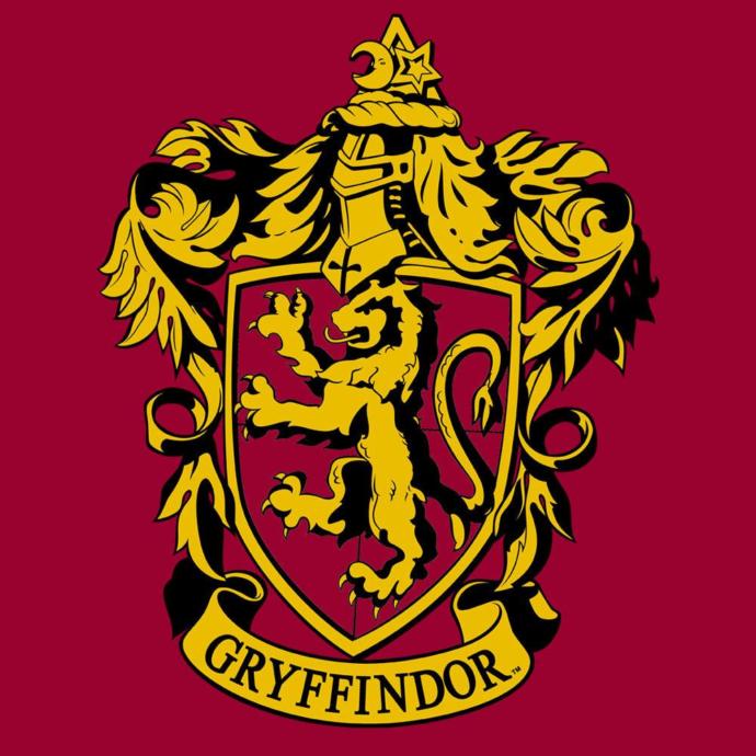 What Gryffindor house are you?