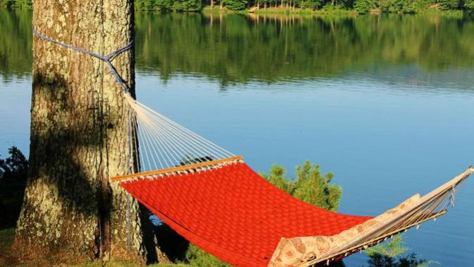 Would you rather stay local or travel far away on your vacations?