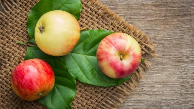 Which is better? Apples, or oranges?
