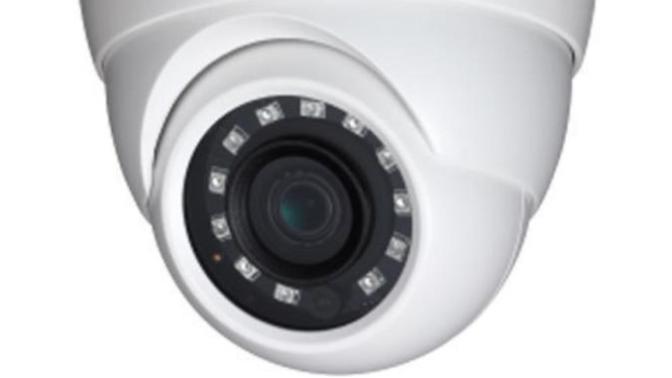 Would you be OK with having security cameras in your home?