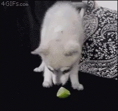 Do you like limes?