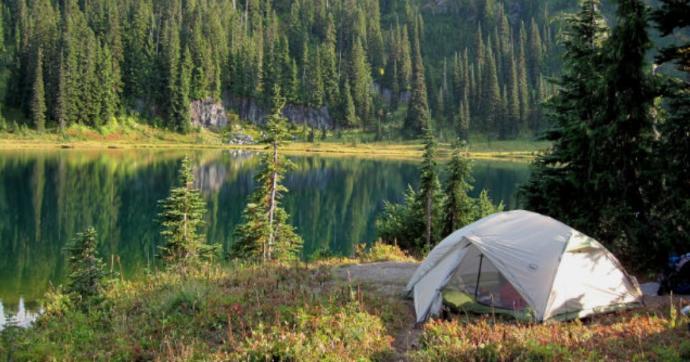 Would you rather go camping in the woods or stay at a beach resort?