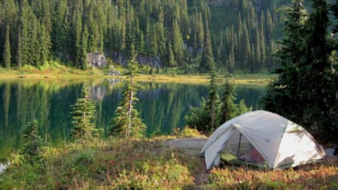 Would you rather go camping in the woods or stay at a beach resort?
