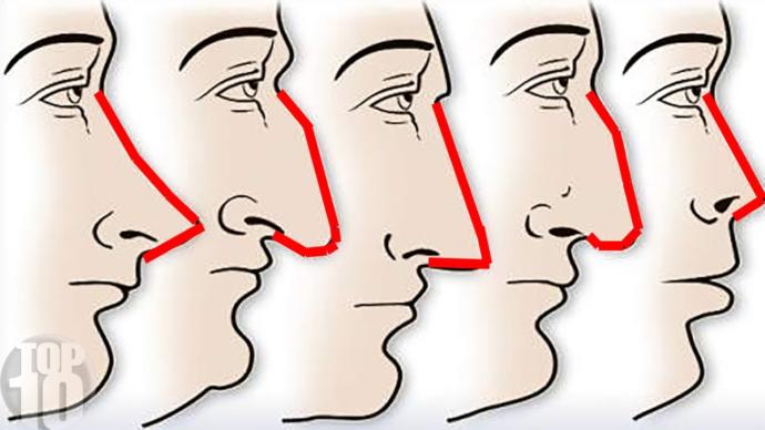 What kind of nose do you have and does it match your personality?
