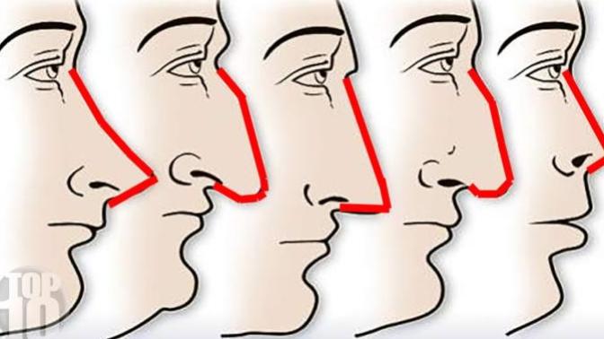 What kind of nose do you have and does it match your personality?