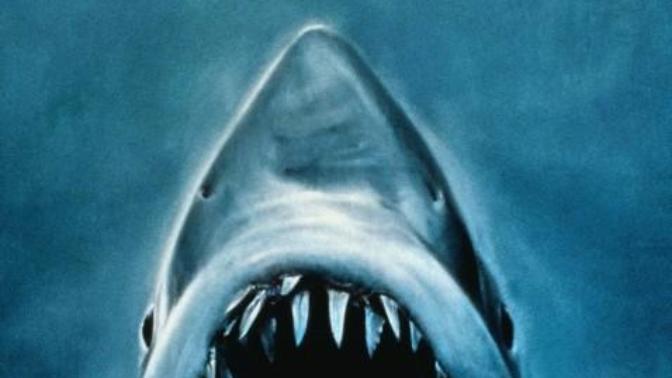 Do you have a phobia of something?