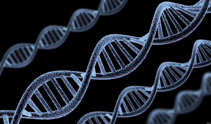 Do Nature Or Nurture Affect You Most? Which Theory Is Most Positive?