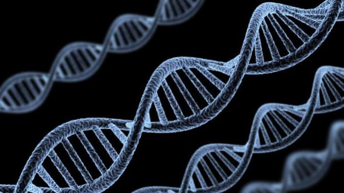 Do Nature Or Nurture Affect You Most? Which Theory Is Most Positive?