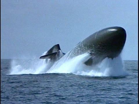 Have you ever gone to the submarine races? Did you like it?