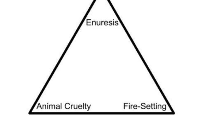 Do you think the Macdonald Triad is real?