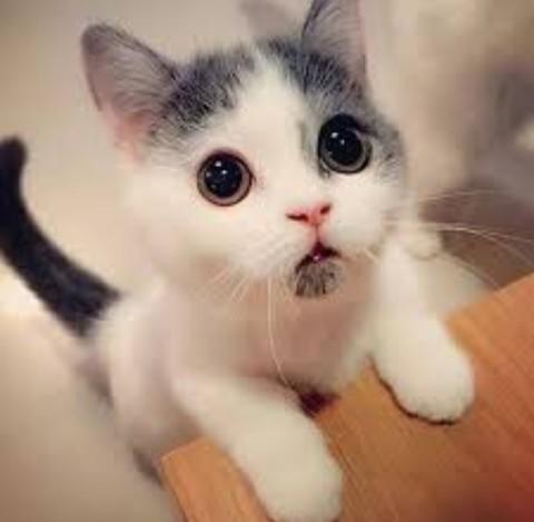 Help! Cute things to text a guy to make him smile?