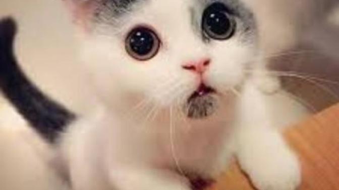 Help! Cute things to text a guy to make him smile?