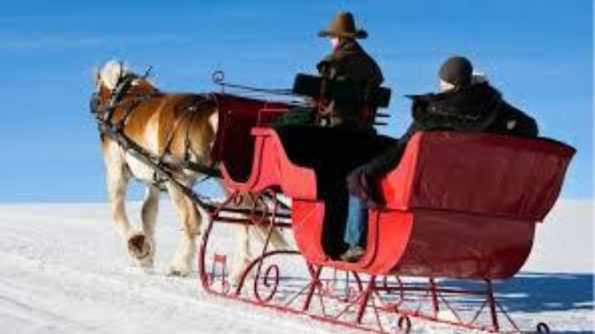 Since Cars Have Been Such a Harmful Technology, How Would You Feel About Bringing Back the Horse?