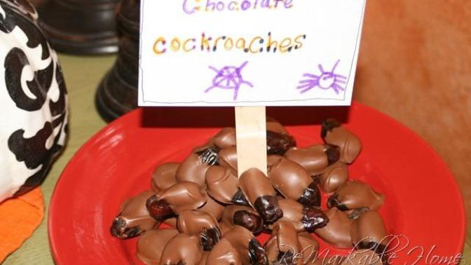 Would you ever eat chocolate covered roaches?