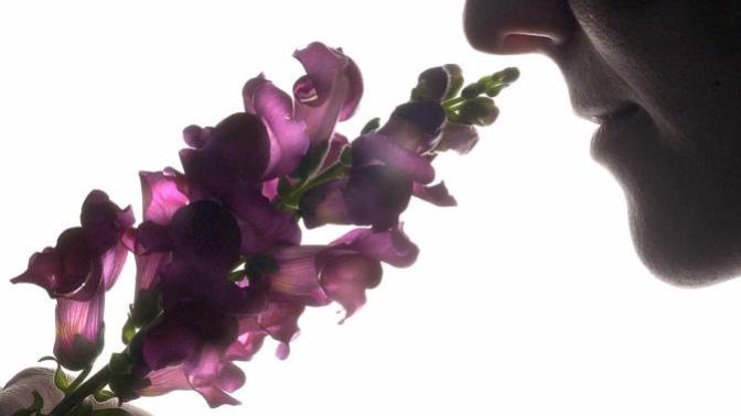 Which Smell Do You Prefer in Your Partner? Which smell is good in women and men?