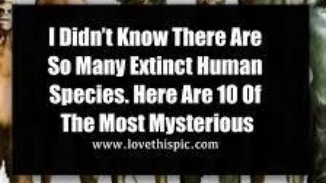 Why are we the only human species still alive?