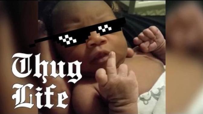 Do you love Thug Life videos?