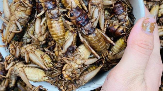 Would you eat this?
