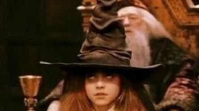 Which house would you like to be sorted into?