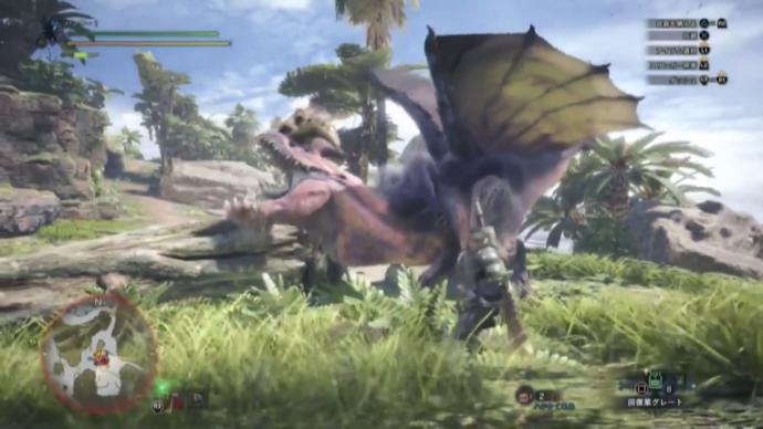 Are you a fan of the Monster Hunter video game franchise?