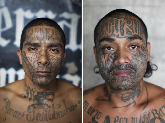 What should be done about the MS-13 Gang, illegally in America?