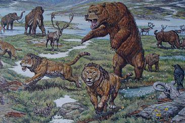 What Ice age continent would you most like to see?